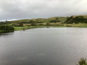 Newhaylie Trout Fishery Ltd