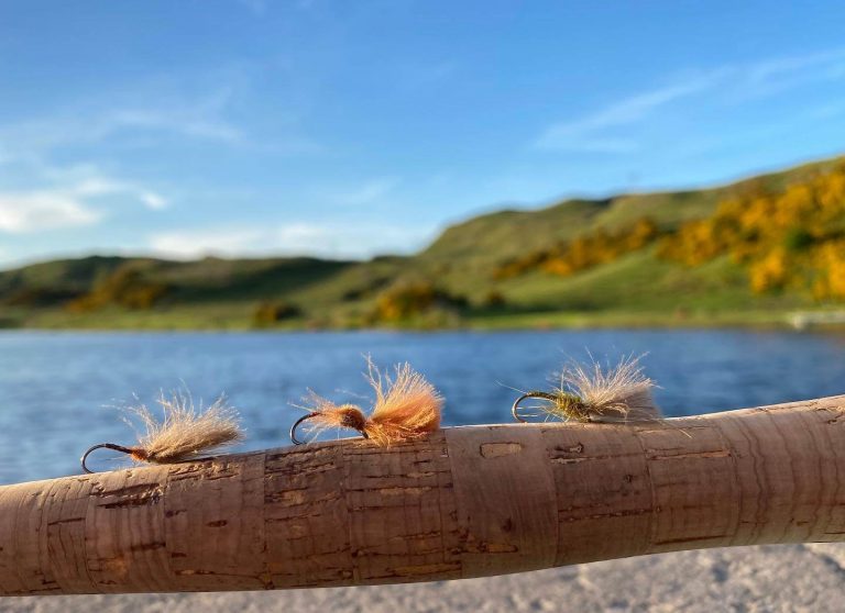 Newhaylie Trout Fishery