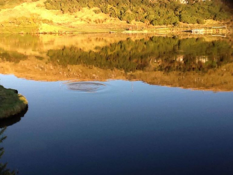 Newhaylie Trout Fishery Ltd