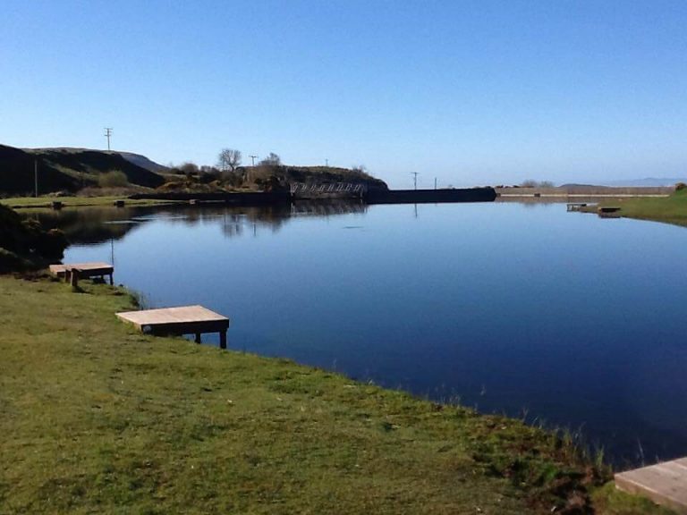 Newhaylie Trout Fishery Ltd